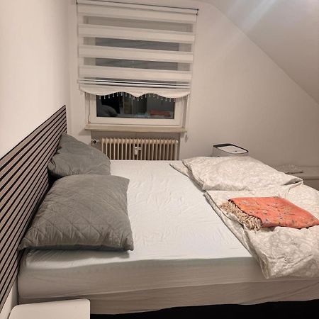 Am Auepark Apartment Kassel Bagian luar foto