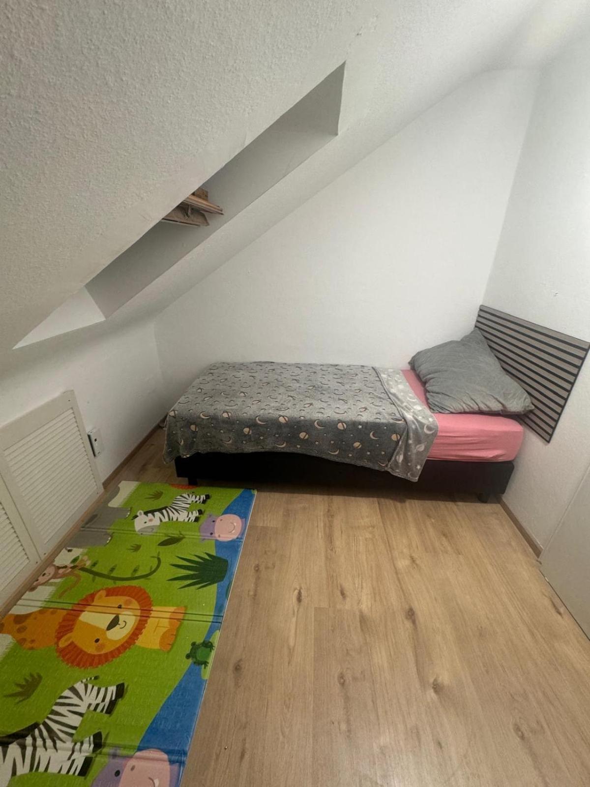 Am Auepark Apartment Kassel Bagian luar foto